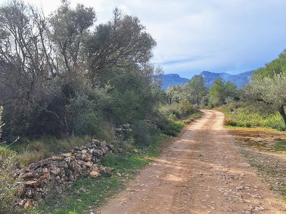 Helårsgrund i Ginestar, Tarragona - foto 5